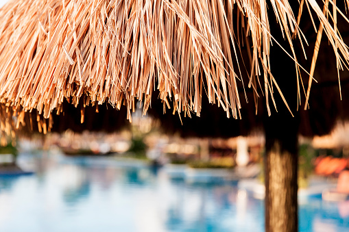 Resort detail in Cancun, Mexico. Horizontal image shows a close up of a thatched roof on a hut. A swimming pool is out of focus in the distance.
