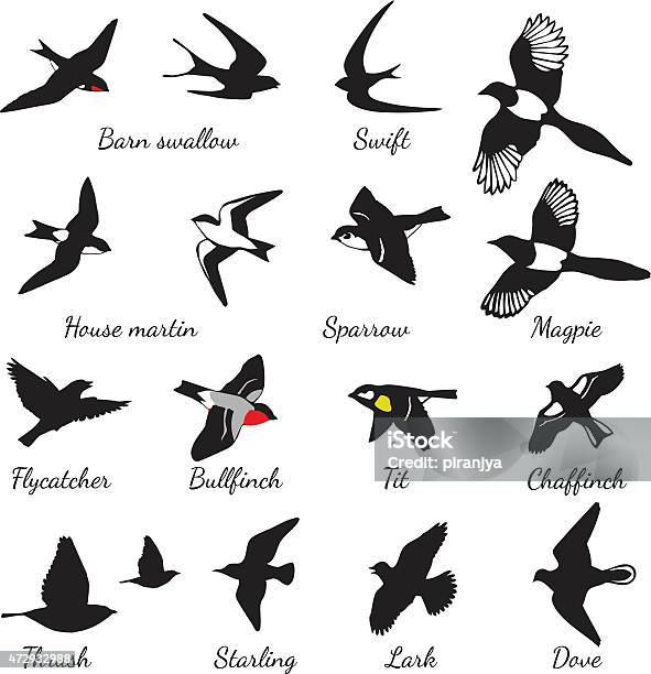 Noir Isolé Vecteur Série De Silhouettes Doiseaux Vecteurs libres de droits et plus d'images vectorielles de Oiseau - Oiseau, Moineau, Vitesse