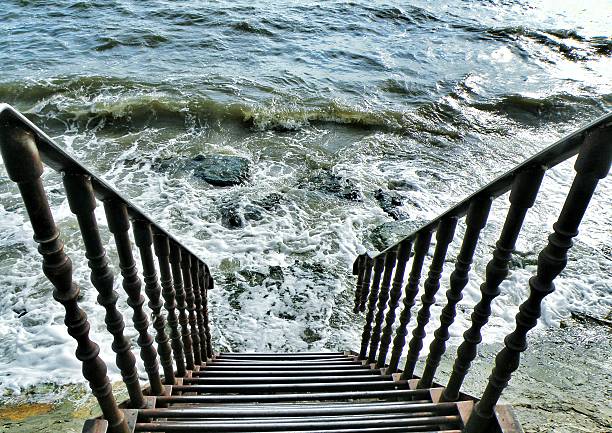 Just do a few steps to be a part of It...