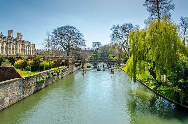 andare in barca sul fiume cam, cambridge - cambridgeshire foto e immagini stock