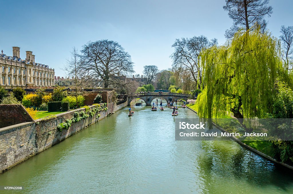 Punting on the River Cam, Cambridge Cambridge - England Stock Photo
