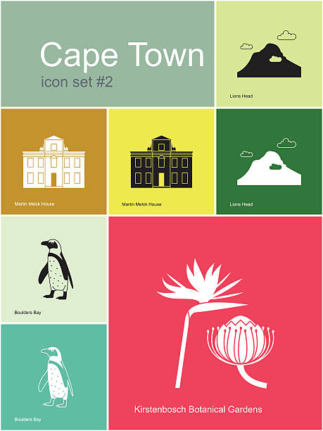 ilustrações, clipart, desenhos animados e ícones de ícones da cidade do cabo - cape town jackass penguin africa animal
