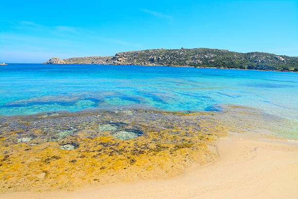 istock rocks and blue sea in Capo Testa 472946186