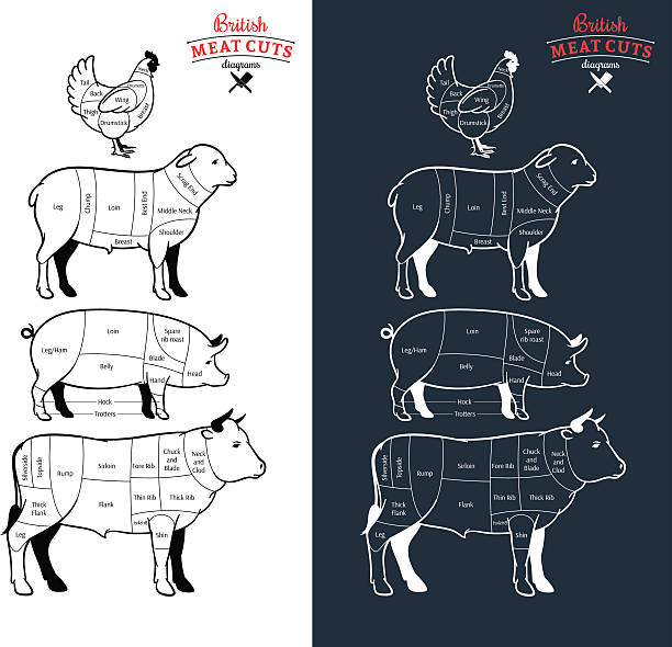 ilustrações de stock, clip art, desenhos animados e ícones de cortes britânicas os diagramas de carne - talho ilustrações