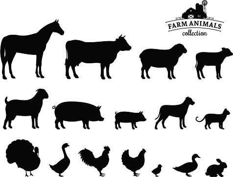 Vector Farm Animals Silhouettes Isolated On White Stock Illustration -  Download Image Now - In Silhouette, Livestock, Pig - iStock