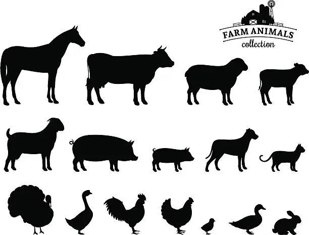 Vector illustration of Vector Farm Animals Silhouettes Isolated on White