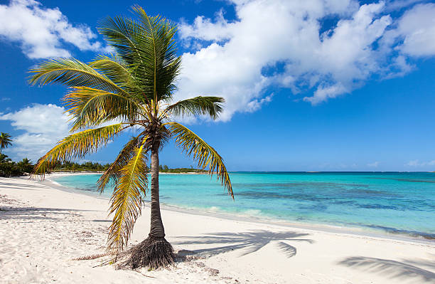 Beautiful Caribbean beach Beautiful tropical beach at Exuma Bahamas exuma stock pictures, royalty-free photos & images