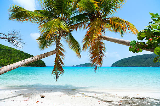 istock Beautiful tropical beach at Caribbean 472949918