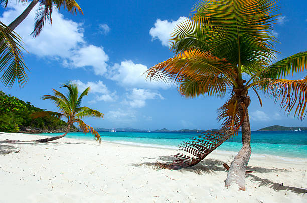 istock Beautiful tropical beach at Caribbean 472949920