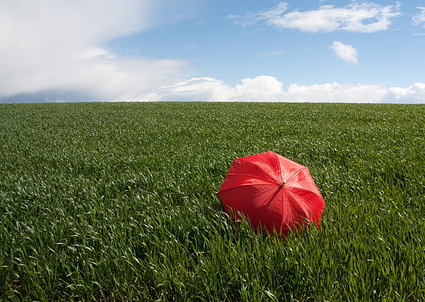 istock Red umbrella on the green meadow 472952792