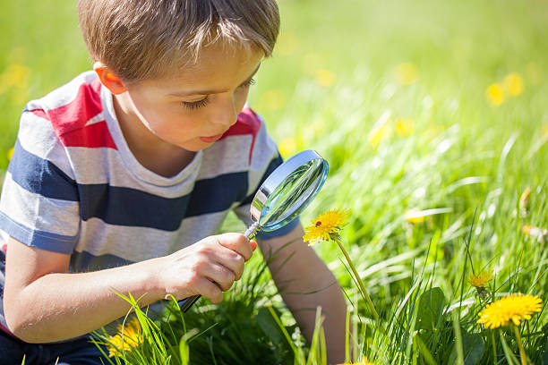 kind die erkundung der natur - child discovery outdoors playing stock-fotos und bilder