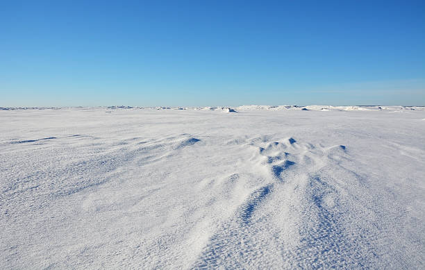 istock Frozen sea shore at the winter season 472961308