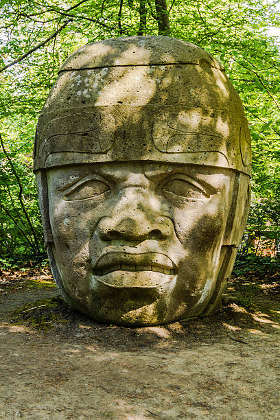 Olmec Head No 8 Brussels, Belgium - May 6, 2013: Replica of Olmec Head No 8 in Tournay-Solvay Park in Brussels. Collosal head is a gift from the government of Veracruz to Belgium to celebrate the good ties between both countries.  The original stands in the entrance of the University of Xalapa Museum of Anthropology in Veracruz, Mexico. olmec head stock pictures, royalty-free photos & images