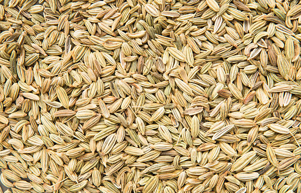 istock Background of dried fennel seeds 472963126