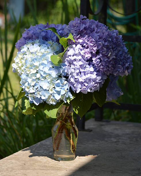 istock Bouquet of purple hydrangeas on porch 472970958