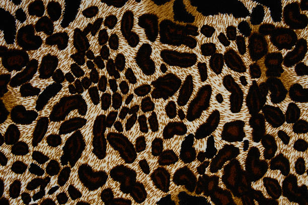 istock texture of print fabric striped leopard for background 472983752