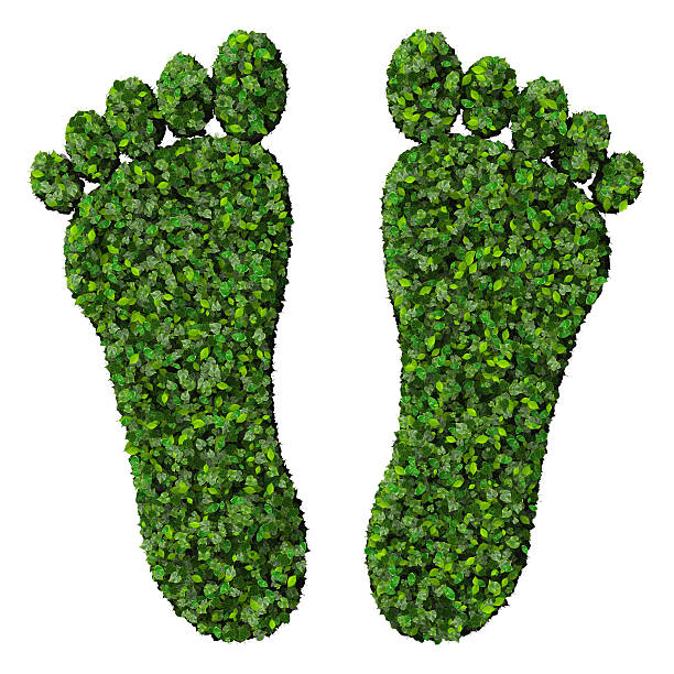 istock Feet made from green leaves 472984194