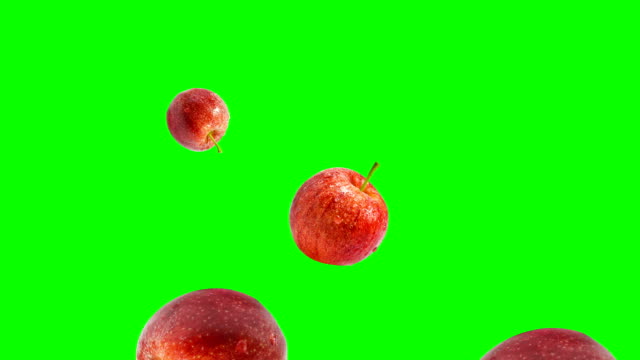 Gala apple falling