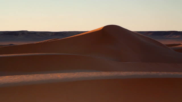 Dune desert