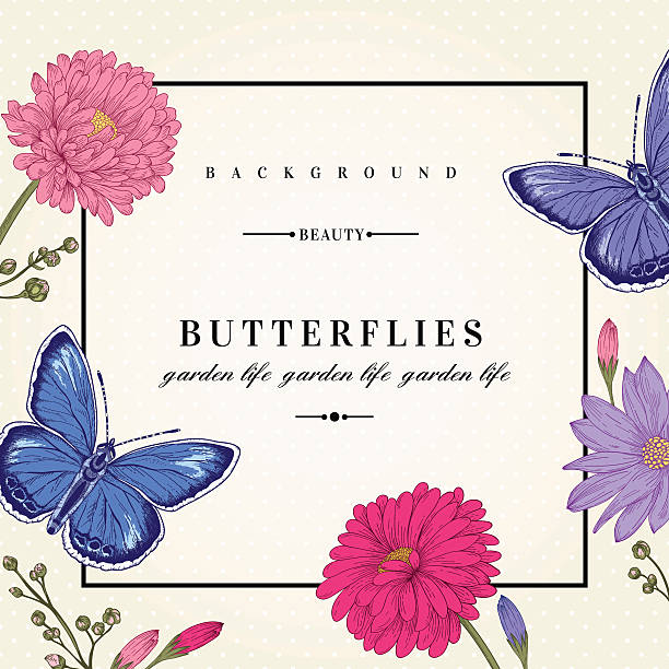 bildbanksillustrationer, clip art samt tecknat material och ikoner med card with butterflies and flowers. - skräpig trädgård