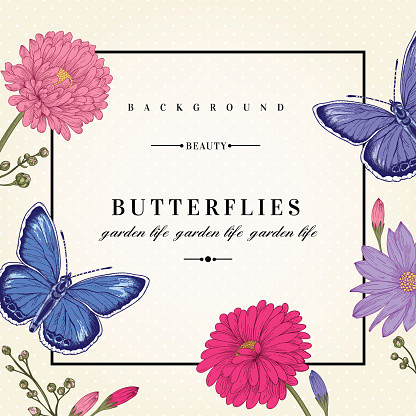 Vector card with two butterflies and flowers.