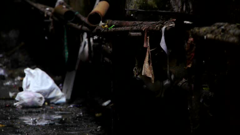 Indian trash backstreet