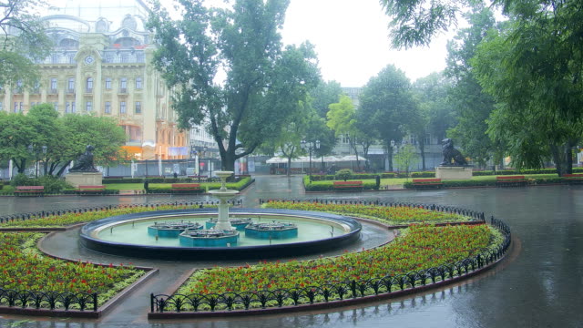 City central park on a rainy evening