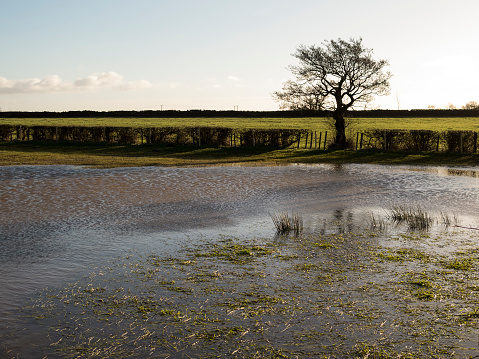 flooded farm field near Matlock,Derbyshire, Britain