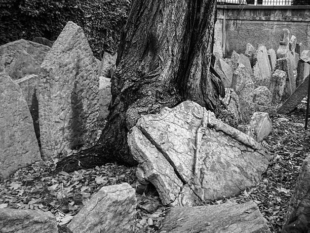 Black and white photo of old tombstones in Jewish cemetary in Prague