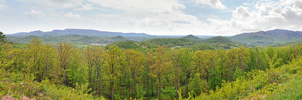 große panorama der appalachian mountains im april mit frühling blätter - wnc stock-fotos und bilder