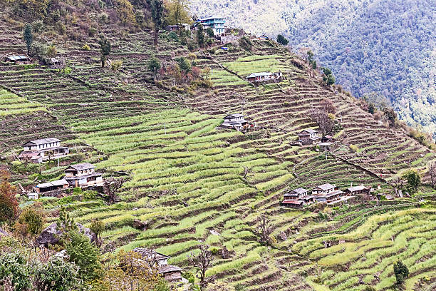 istock Terraced plantation on hill slopes in Nepal 473019076