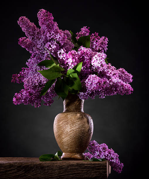 istock Blooming branches of lilac in vase 473023862