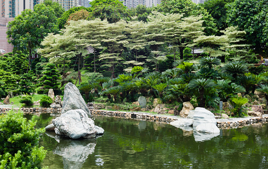 Pond and tress in Hong Kong public garden