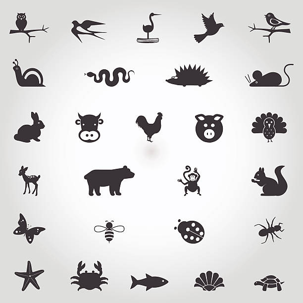 ilustraciones, imágenes clip art, dibujos animados e iconos de stock de ilustraciones de animales - symbol sea animal owl