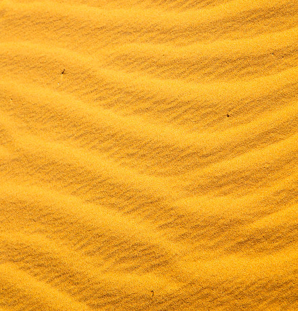 ブラウンの砂丘にモロッコ、サハラ砂漠 - desert landscape morocco sand dune ストックフォトと画像
