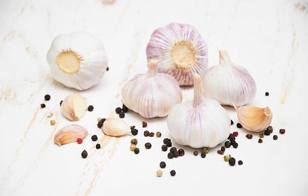 Garlic