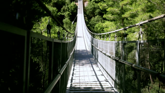 Old suspension bridge in the forest