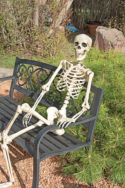 two skeletons pose in a portrait