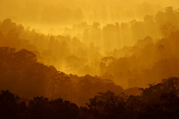 istock Mountain viewpoint sun shine to forest, Thailand 473049406