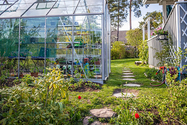 istock Green house in a private garden 473060592