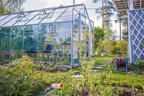 istock Green house as a great hobby 473060594