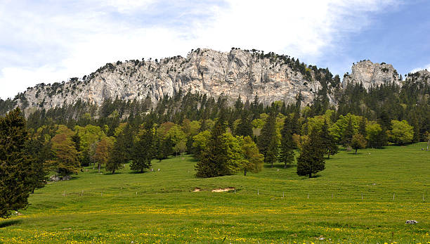 The Aiguilles de Baulmes - Swiss Jura The Aiguilles de Baulmes (1,559 m) are a mountain of the Jura range, located north of Baulmes in the canton of Vaud. jura stock pictures, royalty-free photos & images