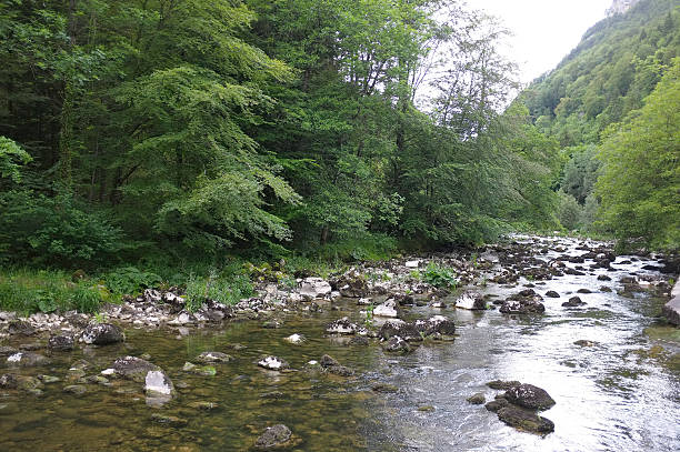istock The Areuse Gorge and River - Swiss Jura 473064144