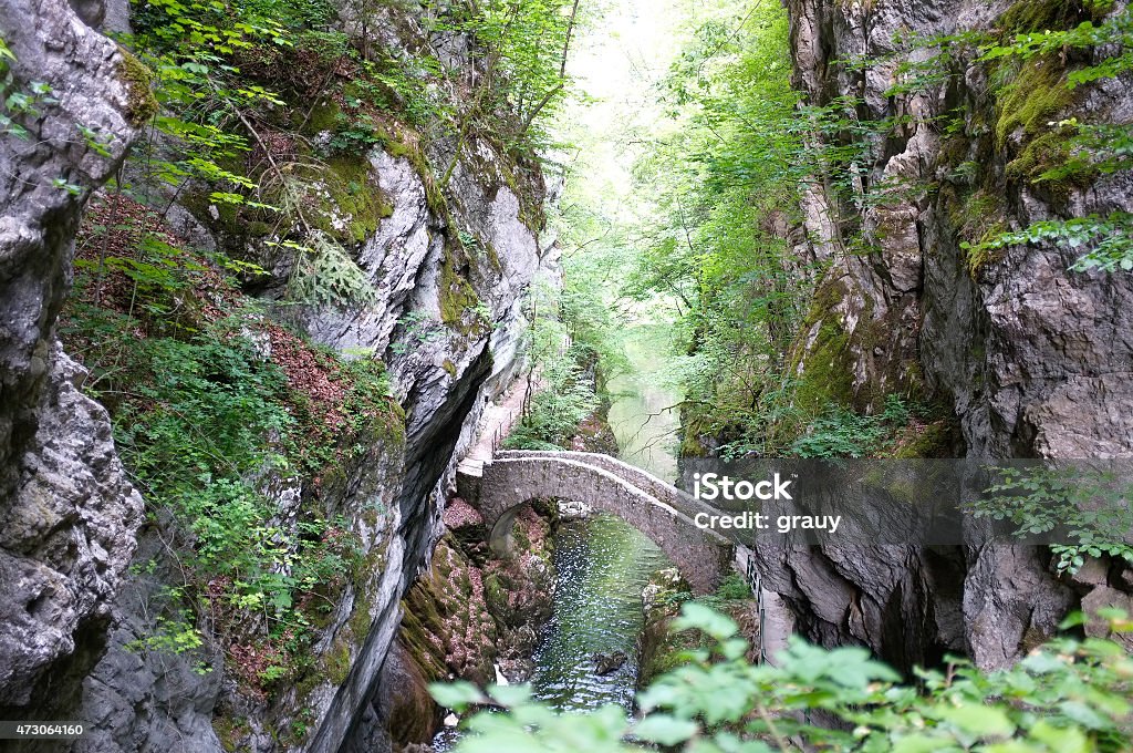 The Areuse Gorge and River - Swiss Jura The Areuse Gorge and River are located int he Swiss Jura - Canton of Neuchatel, between Noiraigue and Boudry. Ravine Stock Photo