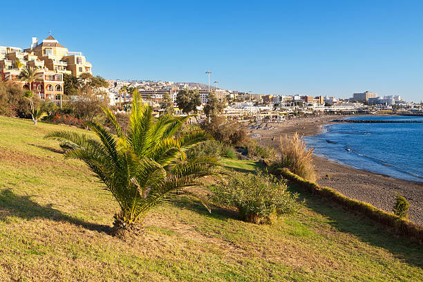 istock Costa Adeje. Tenerife. Canary Islands 473067212