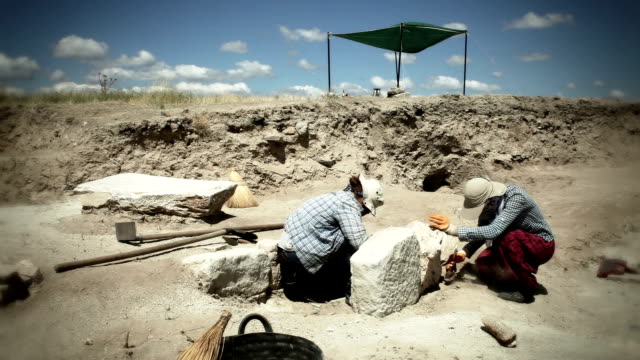 Archaeological Excavation