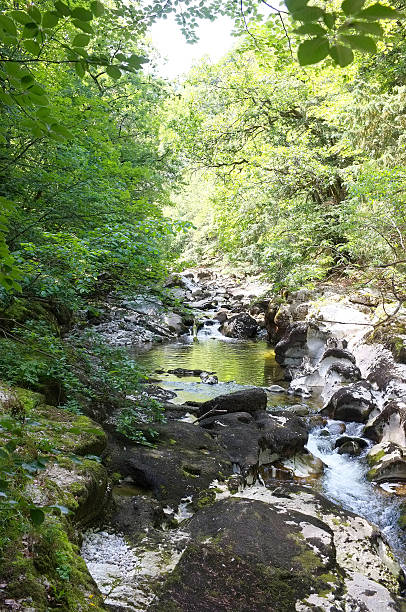 istock The Areuse Gorge and River - Swiss Jura 473070732