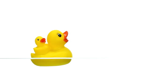 Yellow Rubber Duck Floating on Water