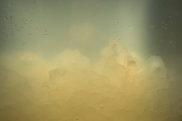 Water kefir stock photo