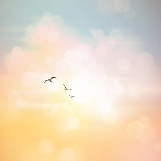 Defocused Summer Sky Background Defocused sky background with birds. EPS 10 file with transparencies.File is layered with global colors.Only gradients used.More works like this linked below. bird backgrounds stock illustrations